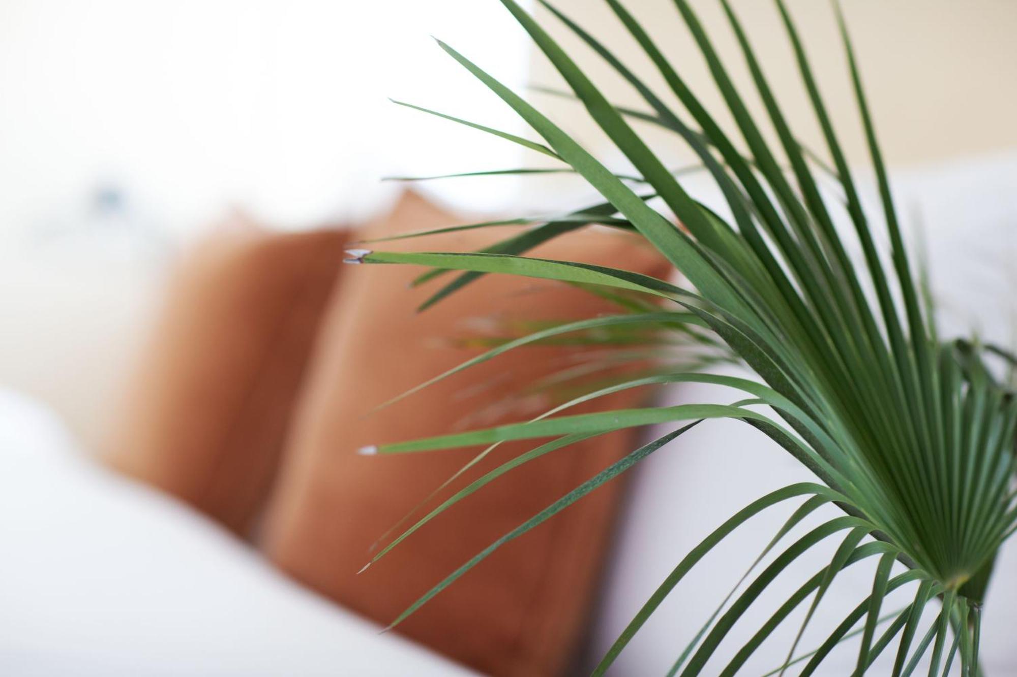 Engel - Business & Lifestyle Liestal